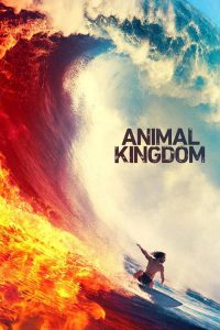 Animal Kingdom download | o2tvseries